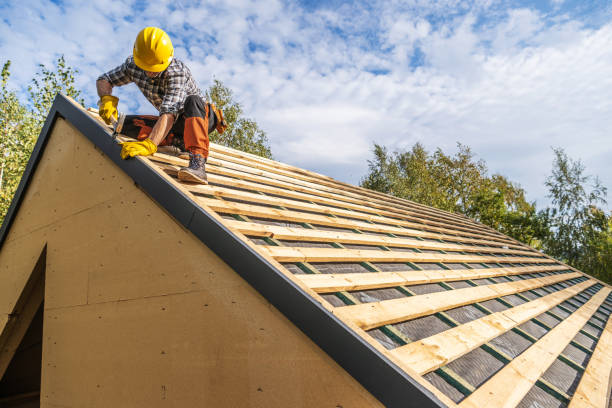 Professional Roofing Contractor in Hugo, MN